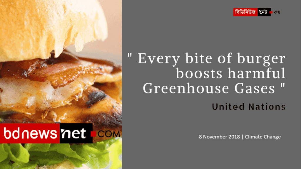Your Burger Also Responsible for Global Warming – UN